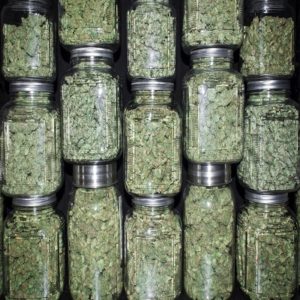 BUY CANNABIS ONLINE